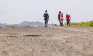 yemen:-how-acts-of-compassion-light-the-way-for-healing