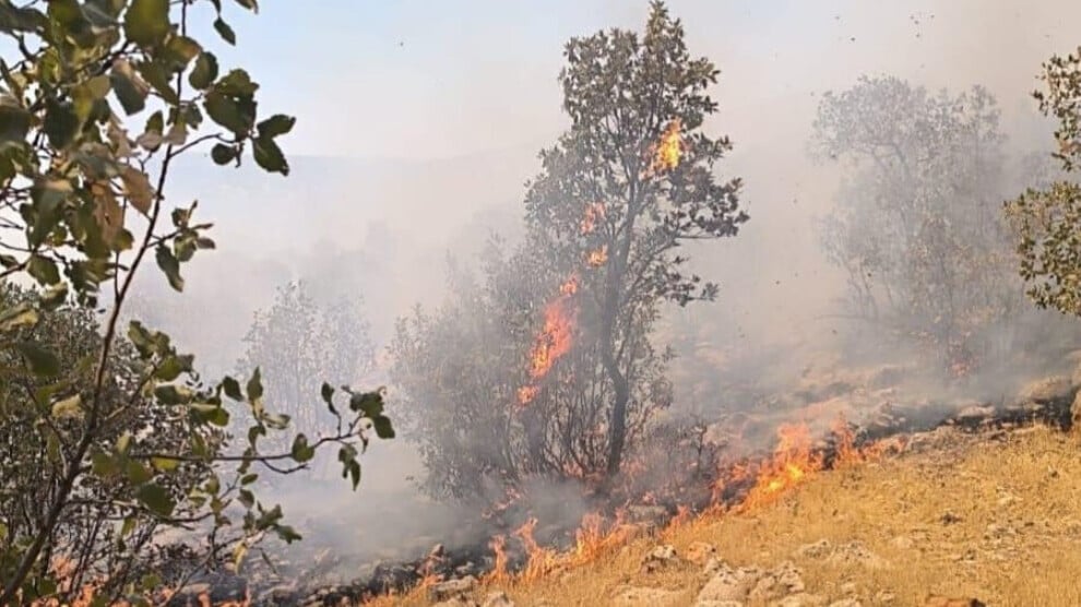 forest-fires-in-mardin-and-van