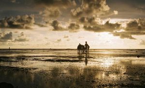 cooling-la-nina-could-be-back,-but-global-temperatures-set-to-rise:-wmo