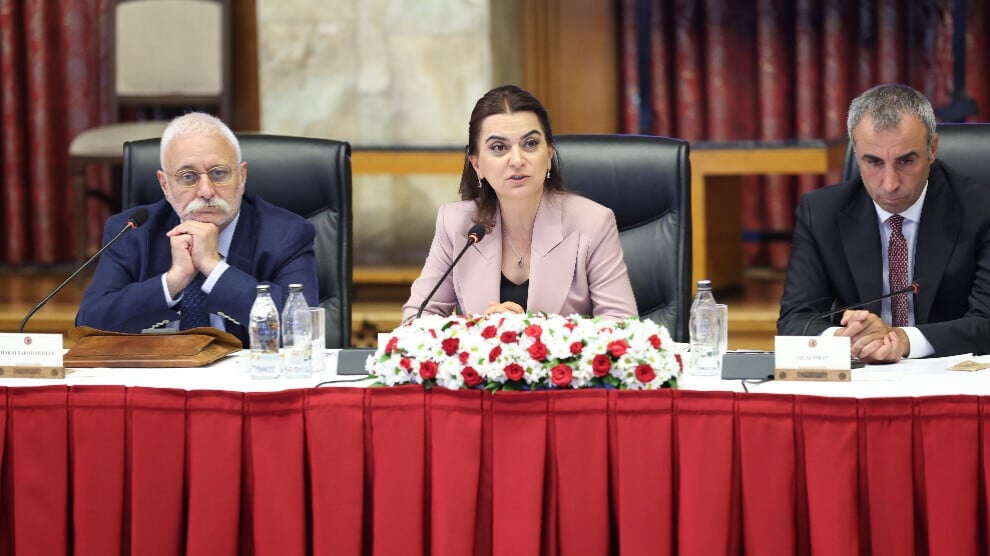 gulistan-kilic-kocyigit:-undemocratic-practices-are-poisoning-the-process