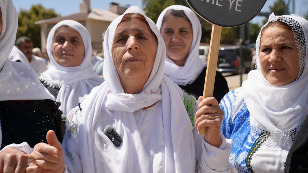 the-voice-rising-from-besta:-they-should-make-peace-with-our-trees-before-making-peace-with-us