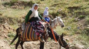 women-in-van-carry-out-highland-farming-alone:-no-one-sees-us!
