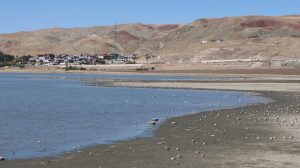 energy-projects-threaten-nature-in-van