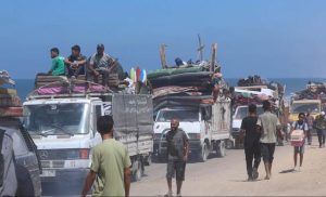gaza:-un-rights-office-deplores-deadly-strikes-on-palestinians-gathering-firewood