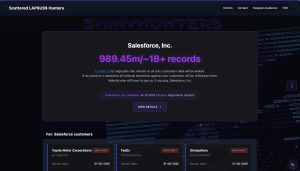 hacking-group-claims-theft-of-1-billion-records-from-salesforce-customer-databases-|-techcrunch
