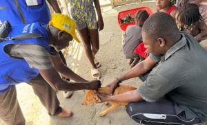 haiti-battles-rabies-with-vaccines-and-vigilance