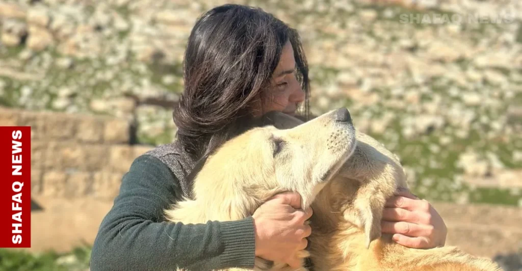 from-compassion-to-action:-kurdish-woman-shelters-iraq’s-strays-–-shafaq-news