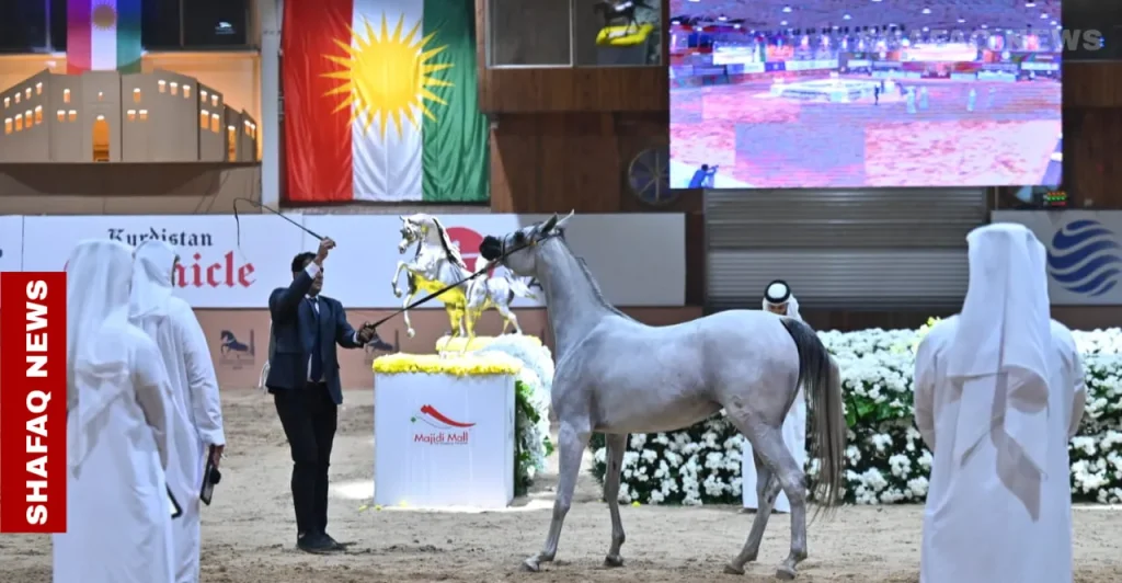 erbil-sets-stage-to-end-international-ban-on-iraqi-horses-–-shafaq-news
