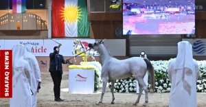 erbil-sets-stage-to-end-international-ban-on-iraqi-horses-–-shafaq-news