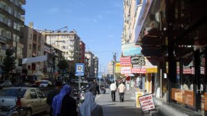 eight-young-people-detained-in-amed-following-demonstration-for-ocalan