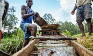 fresh-push-to-fight-toxic-mercury-pollution-underway