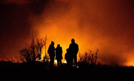 world’s-forests-at-serious-risk-from-warming-planet,-fires-and-pests