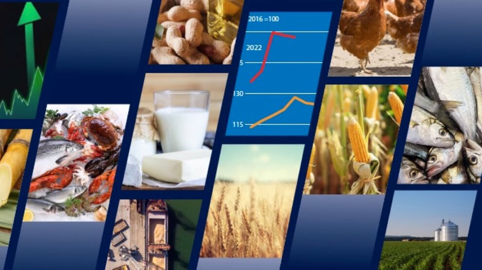 fao:-kuresel-gida-ithalat-faturasi-2025’te-yuzde-8-artacak