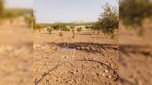 turk-devleti,-kobane’de-ciftcilere-ates-acti