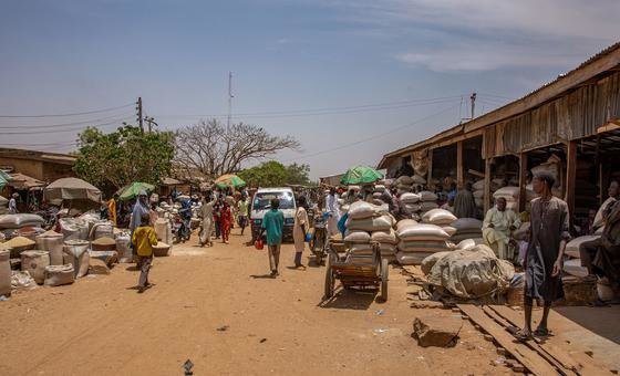 nigeria:-hundreds-abducted-in-the-north-as-insurgent-attacks-rise