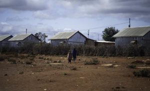 somalia-declares-drought-emergency-as-millions-face-hunger-after-failed-rains