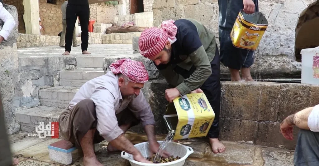 yazidis-begin-annual-olive-harvest-ritual-at-lalish-temple-in-northern-iraq-–-shafaq-news