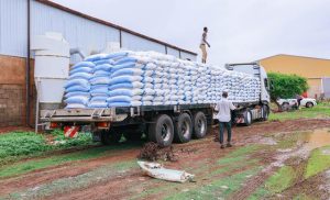 world-news-in-brief:-food-insecurity-triples,-mozambique-aid-boost,-uganda-elections-alert