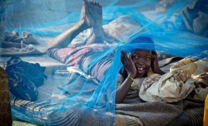 malaria:-drug-resistance-and-underfunding-threaten-progress-towards-eliminating-killer-disease