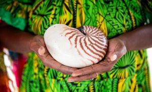 five-climate-trailblazers:-unep’s-2025-champions-of-the-earth