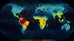 biyocesitlilik-fonlari-milyarlarca-dolar-eksik