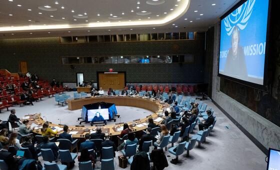 security-council-hears-of-fading-election-prospects-in-libya