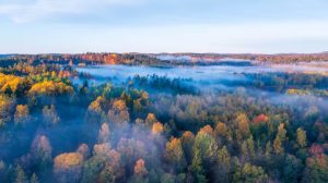 nadir-toprak-umudu,-norvec’te-cevre-itirazlarina-takildi