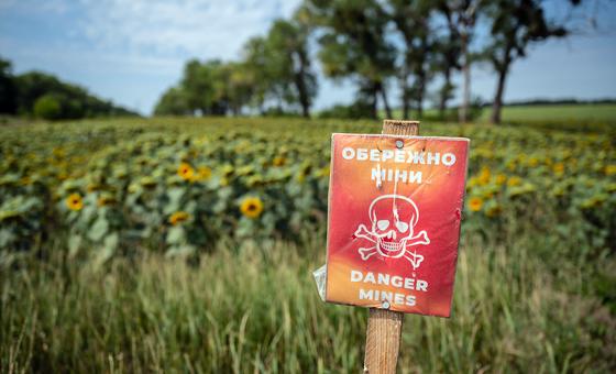 un-agency-rolls-out-three-year-plan-to-safeguard-ukraine’s-bread-basket