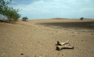 world-enters-era-of-‘global-water-bankruptcy’