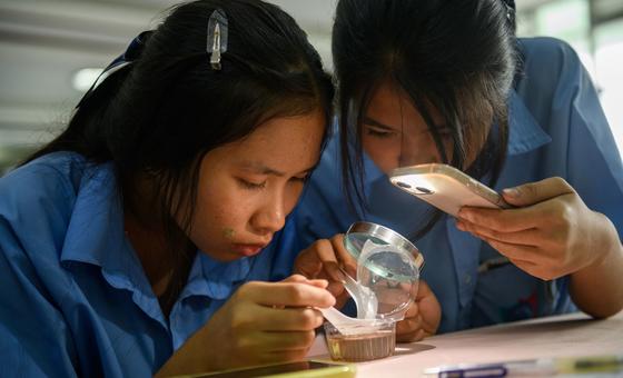 women-and-girls-in-science:-dismantling-barriers,-closing-gender-gaps