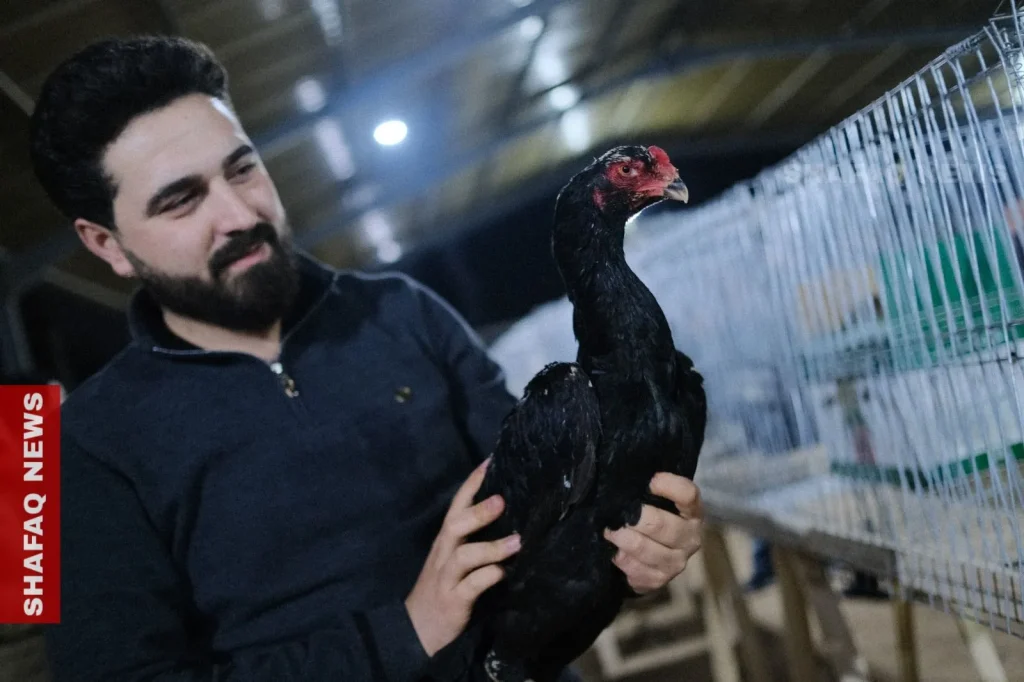 erbil-bird-expo-features-rare-species-worth-thousands-–-shafaq-news