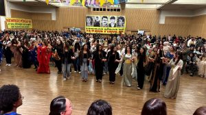 linz’de-coskulu-newroz-kutlamasi