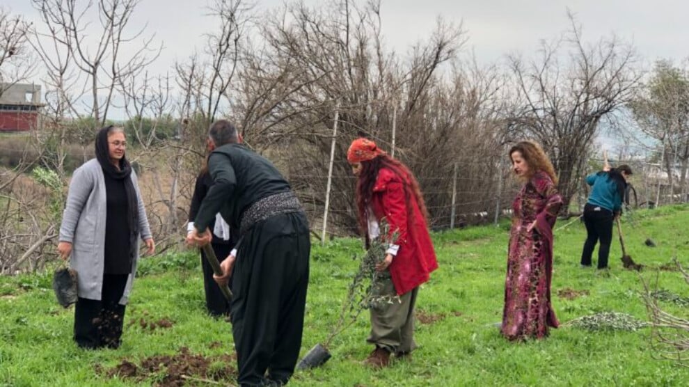 silemani’de-4-nisan-dikilen-fidanlarla-kutlandi