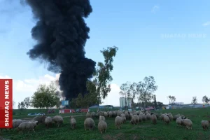 drone-shot-down-over-erbil,-explosion-heard-in-soran-–-shafaq-news