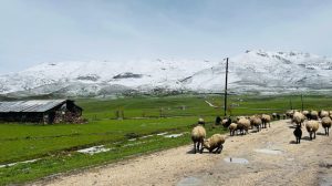 ikinci-surgune-karsi-direniyor:-jes’e-karsi-suyu-ve-topragi-savunalim!