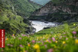 kurdistan’s-border-mountains-bloom-as-spring-tourism-season-opens-–-shafaq-news