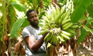 shockwaves-of-middle-east-war-reach-caribbean-as-food-prices-soar