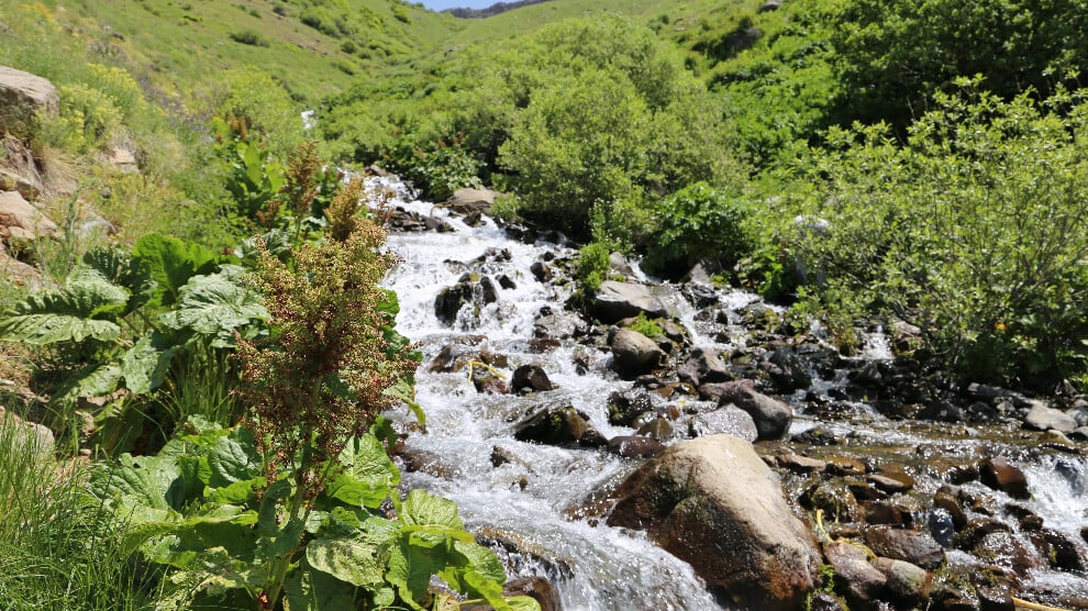 kox-ve-serefdin-daglari-ranta-mi-aciliyor?