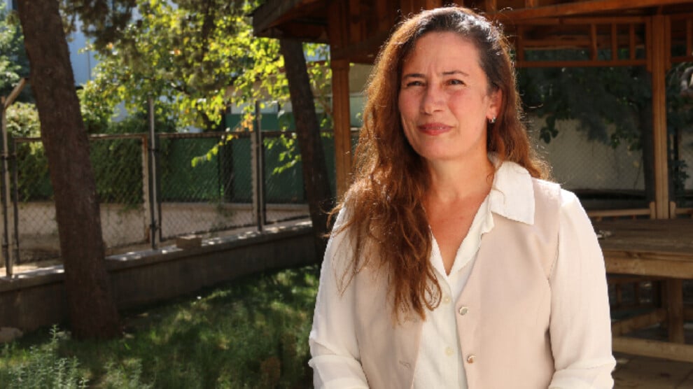 ‘devlet-ici-guc-degisimleri-ile-gulistan-doku-aciga-cikti’