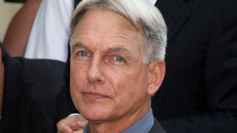mark-harmon-and-pam-dawber’s-family-life:-meet-their-two-sons-in-entertainment
