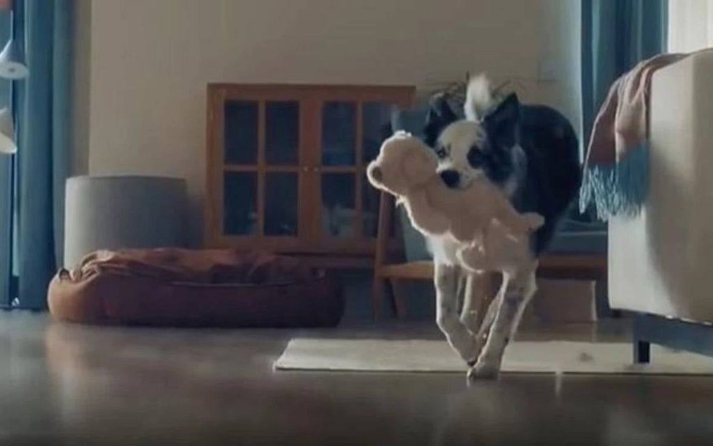 bosch-turkey-withdraws-‘dog-motherhood’-ad-following-criticism