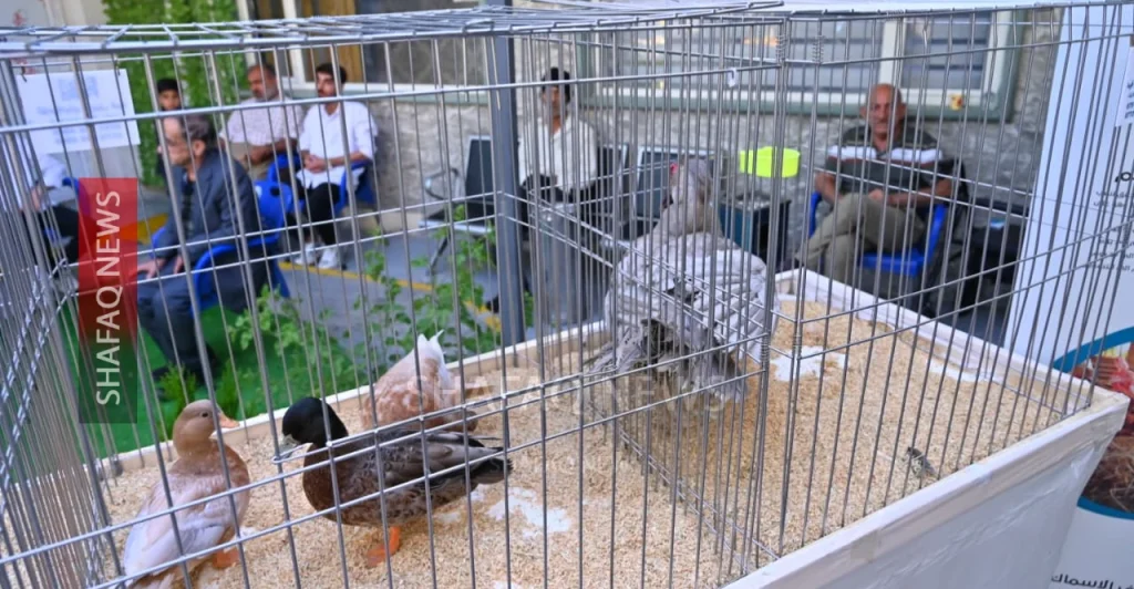 ornamental-birds-draw-smiles-at-erbil-care-home-–-shafaq-news