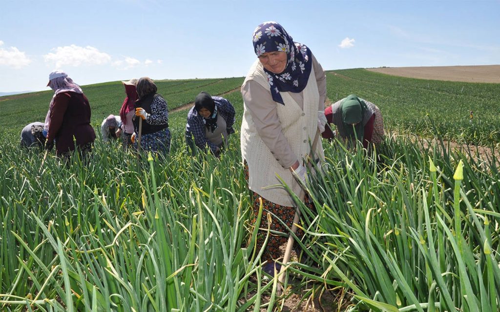 number-of-registered-farmers-further-decreases,-mp-warns
