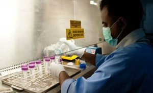 wider-hantavirus-outbreak-risk-is-‘absolutely-low’,-insists-un-health-agency