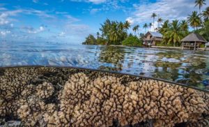 humanity’s-future-depends-on-protecting-the-rapidly-changing-ocean