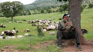 binare-qendil’in-kadim-koyu:-elires
