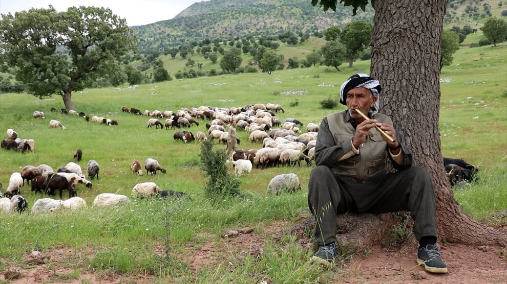binare-qendil’in-kadim-koyu:-elires