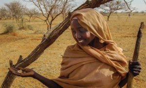 looted-gold-and-gum-arabic-are-bankrolling-sudan’s-war,-un-warns