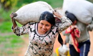 colombia:-pockets-of-insecurity-challenge-‘vibrant-democracy’,-security-council-told