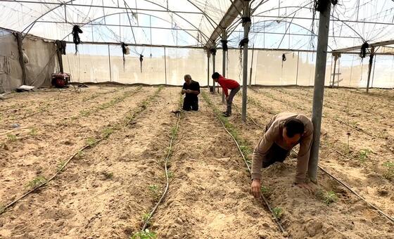 gaza-farmers-battle-to-rebuild-as-wfp-warns-of-west-bank-settler-violence
